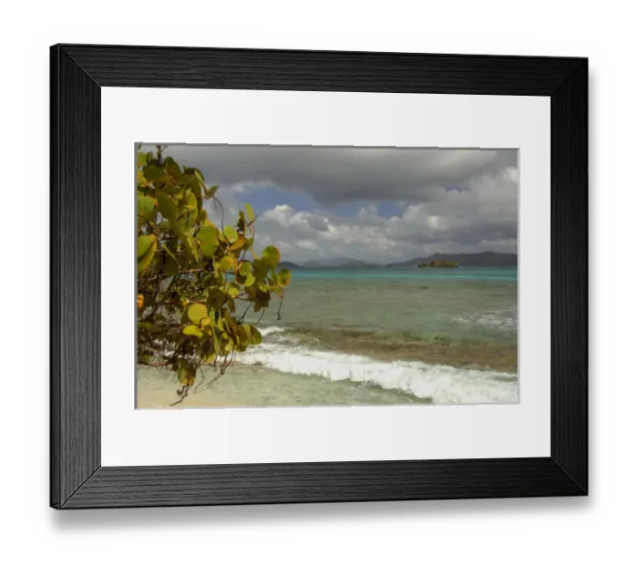 Framed Print : Caribbean, U. S. Virgin Islands, St. Thomas, St. John Bay, Sapphire Beach. View of the island of St Framed Print : Caribbean, U. S. Virgin Islands, St. Thomas, St. John Bay, Sapphire Beach. View of the island of St