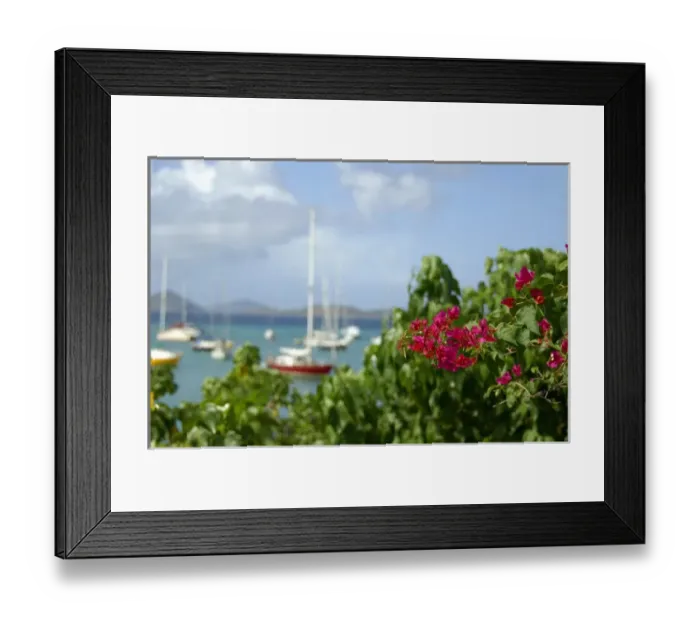 Framed Print : Caribbean, U. S. Virgin Islands, St. John, Cruz Bay. Boats in the harbor at Cruz Bay