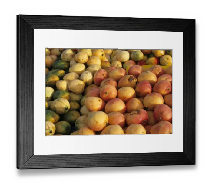 Framed Print : Mangoes Trinidad