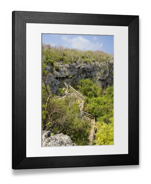 Framed Print : Peters Cave entrance, Cayman Brac, Cayman Islands, Caribbean