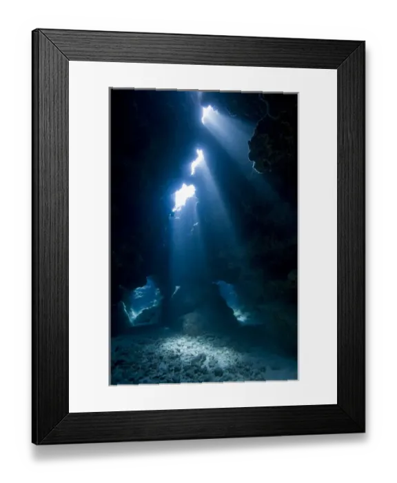 Framed Print : Cayman Islands, Grand Cayman Island, Underwater view of coral reef at Eden Rock in