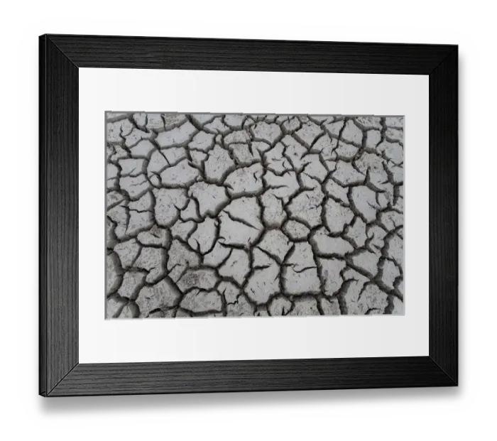 Framed Print : Cayman Islands, Little Cayman Island, Cracked mud of dry lake bottom at Booby Pond Framed Print : Cayman Islands, Little Cayman Island, Cracked mud of dry lake bottom at Booby Pond