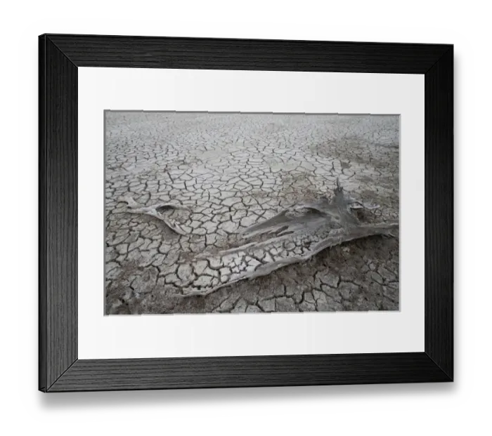 Framed Print : Cayman Islands, Little Cayman Island, Cracked mud of dry lake bottom at Booby Pond Framed Print : Cayman Islands, Little Cayman Island, Cracked mud of dry lake bottom at Booby Pond