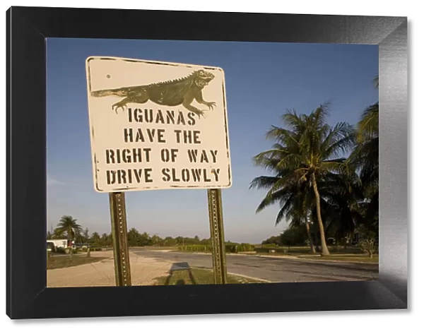 Cayman Islands, Little Cayman Island, Iguana Crossing Sign along country road