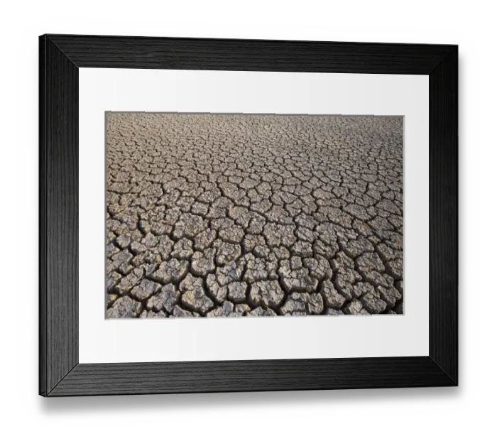 Framed Print : Cayman Islands, Little Cayman Island, Cracked mud of dry lake bottom at Booby Pond Framed Print : Cayman Islands, Little Cayman Island, Cracked mud of dry lake bottom at Booby Pond