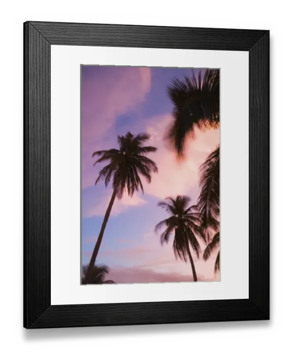 Framed Print : CAYMAN ISLANDS - CAYMAN BRAC - West End: Sunset with Palms Framed Print : CAYMAN ISLANDS - CAYMAN BRAC - West End: Sunset with Palms
