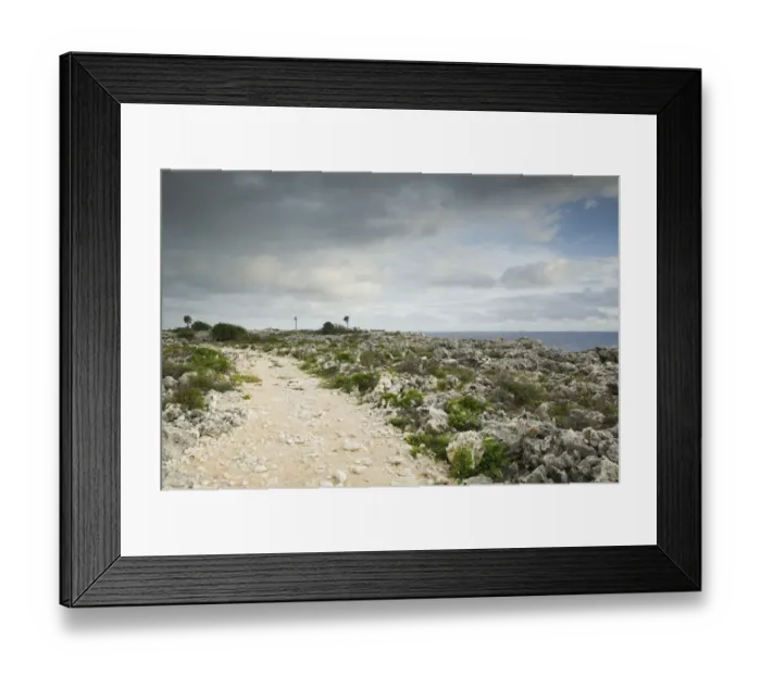 Framed Print : CAYMAN ISLANDS - CAYMAN BRAC - NE Point: Hiking Trail atop The Bluff Framed Print : CAYMAN ISLANDS - CAYMAN BRAC - NE Point: Hiking Trail atop The Bluff