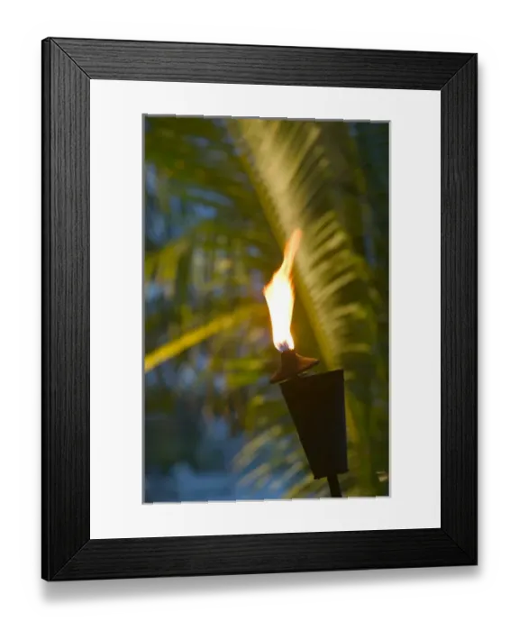 Framed Print : TURKS & CAICOS, Providenciales Island, Turtle Cove Beach torch and palm, evening Framed Print : TURKS & CAICOS, Providenciales Island, Turtle Cove Beach torch and palm, evening