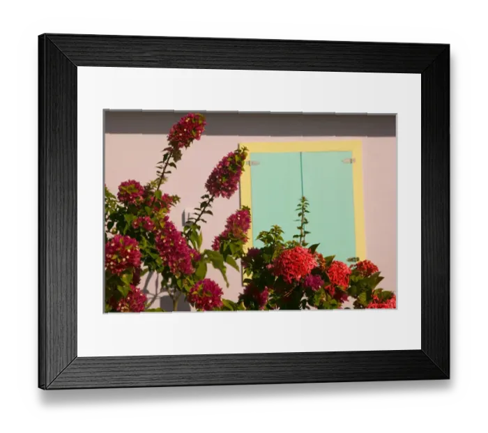 Framed Print : TURKS & CAICOS, Salt Cay Island, Balfour Town Historic former Worlds Greatest Framed Print : TURKS & CAICOS, Salt Cay Island, Balfour Town Historic former Worlds Greatest