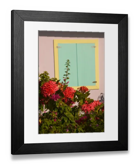 Framed Print : TURKS & CAICOS, Salt Cay Island, Balfour Town Historic former Worlds Greatest
