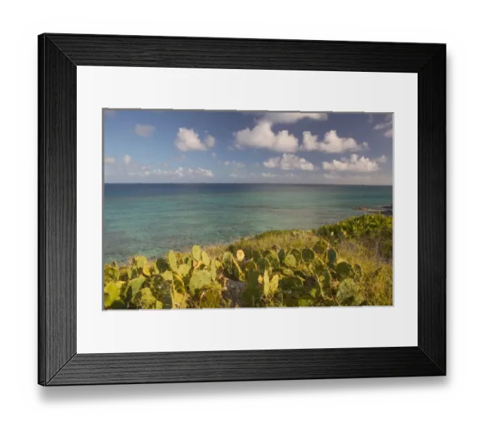 Framed Print : TURKS & CAICOS, Grand Turk Island, Northeast Point Ocean view with cactus Framed Print : TURKS & CAICOS, Grand Turk Island, Northeast Point Ocean view with cactus