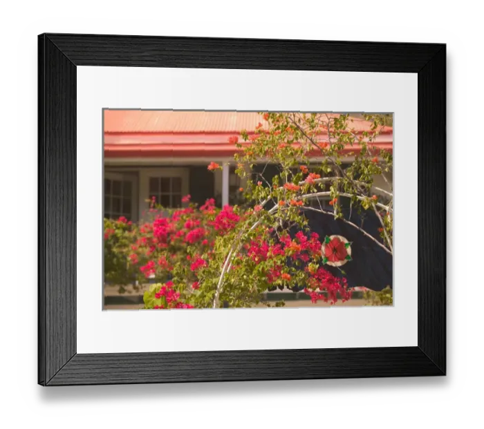 Framed Print : TURKS & CAICOS, Grand Turk Island, Cockburn Town Town florered entrance gate Framed Print : TURKS & CAICOS, Grand Turk Island, Cockburn Town Town florered entrance gate