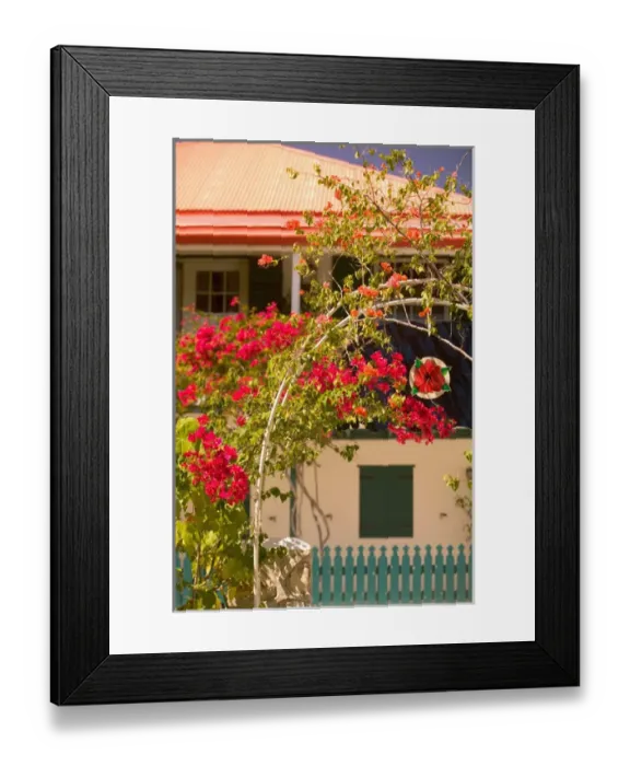Framed Print : TURKS & CAICOS, Grand Turk Island, Cockburn Town Town flowered entranceway, Front