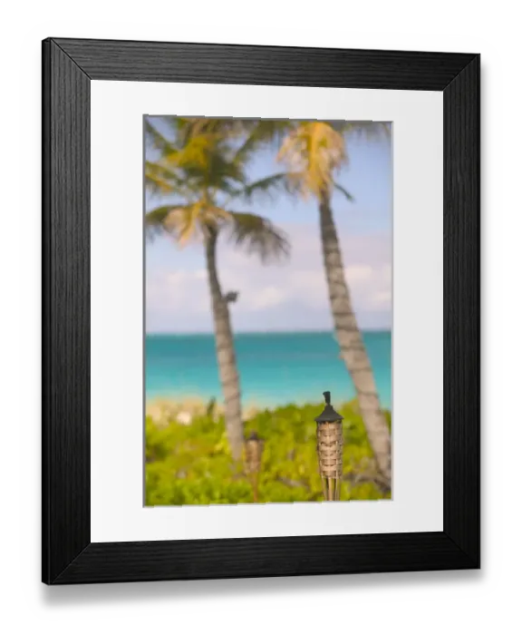 Framed Print : Caribbean, TURKS & CAICOS-Providenciales Island-Grace Bay: Beach Torch & Palms  / 