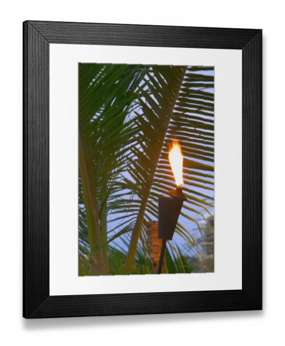Framed Print : Caribbean, TURKS & CAICOS-Providenciales Island-Turtle Cove: Beach Torch & Palm Framed Print : Caribbean, TURKS & CAICOS-Providenciales Island-Turtle Cove: Beach Torch & Palm