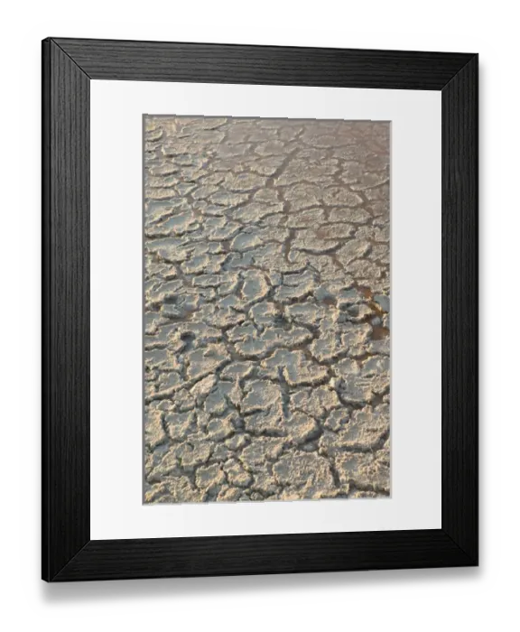 Framed Print : Caribbean, TURKS & CAICOS-Salt Cay Island- Historic Former Worlds Greatest Producer of Salt Framed Print : Caribbean, TURKS & CAICOS-Salt Cay Island- Historic Former Worlds Greatest Producer of Salt