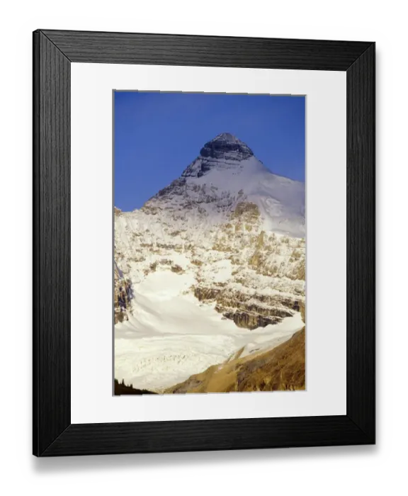 Framed Print : Athabasca Peak in the Canadian Rockies Framed Print : Athabasca Peak in the Canadian Rockies