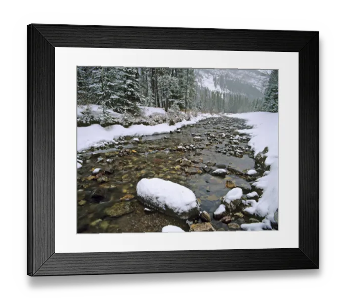 Framed Print : Cameron Creek in Waterton Lakes National Park in Alberta Canada Framed Print : Cameron Creek in Waterton Lakes National Park in Alberta Canada