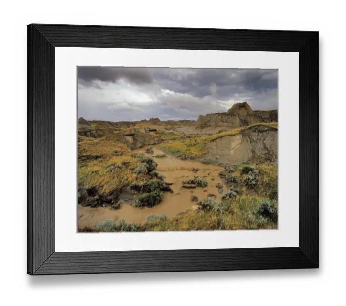 Framed Print : Badlands at Dinosaur Provincial Park in Alberta, Canada during thunderstorm Framed Print : Badlands at Dinosaur Provincial Park in Alberta, Canada during thunderstorm