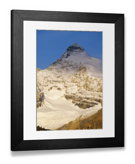 Framed Print : Athabasca Peak with Hilda Glacier part of the Columbia Icefields in Jasper National Framed Print : Athabasca Peak with Hilda Glacier part of the Columbia Icefields in Jasper National