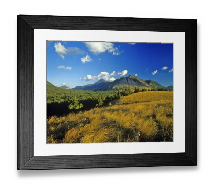 Framed Print : Blakiston Valley in Waterton Lakes National Park in Alberta Canada