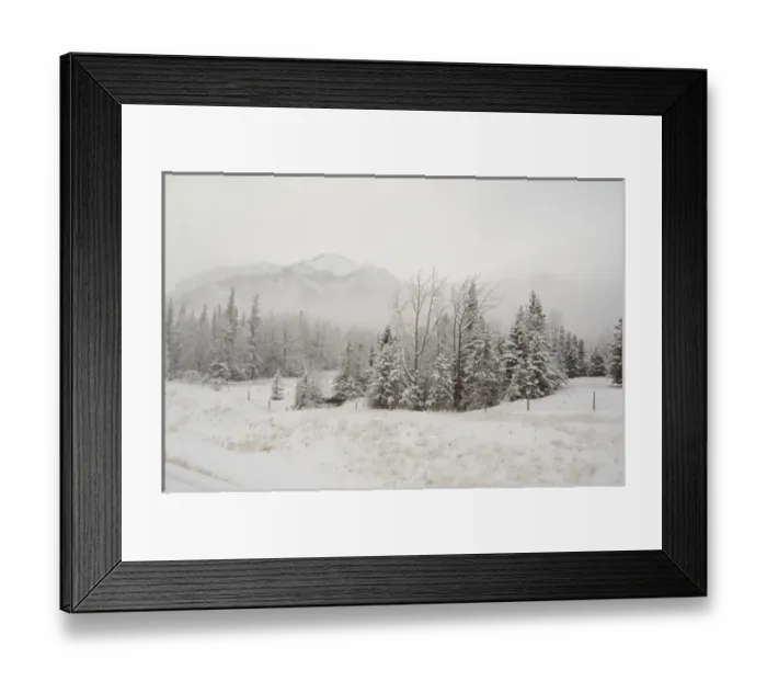 Framed Print : Canada, Alberta. VIA Rail Snow Train between Edmonton & Jasper. Winter views Framed Print : Canada, Alberta. VIA Rail Snow Train between Edmonton & Jasper. Winter views