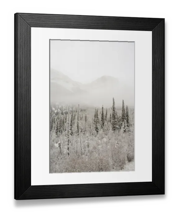 Framed Print : Canada, Alberta. VIA Rail Snow Train between Edmonton & Jasper. Winter views