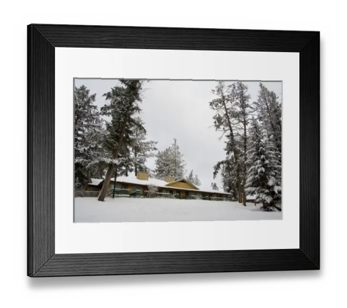 Framed Print : Canada, Alberta, Jasper, Jasper NP. Fairmont Jasper Park Lodge cabins