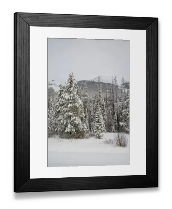 Framed Print : Canada, Alberta, Icefields Parkway. Jasper National Park in winter. Scenic highway Framed Print : Canada, Alberta, Icefields Parkway. Jasper National Park in winter. Scenic highway