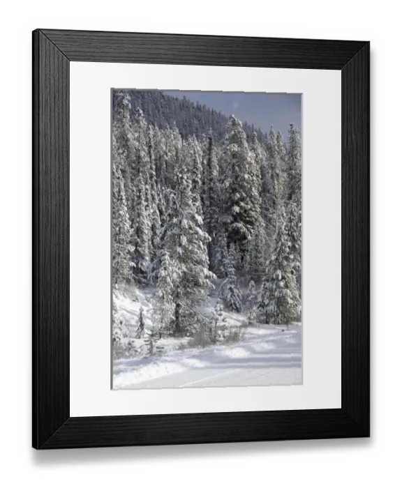 Framed Print : Canada, Alberta, Icefields Parkway. Jasper National Park in winter. Scenic highway Framed Print : Canada, Alberta, Icefields Parkway. Jasper National Park in winter. Scenic highway