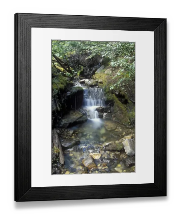 Framed Print : Small waterfall along creek in Jasper National Park, Canada Framed Print : Small waterfall along creek in Jasper National Park, Canada