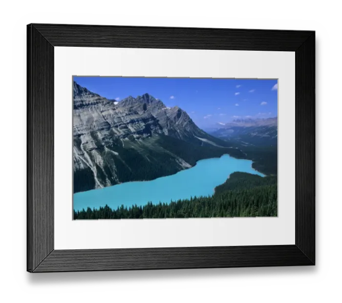 Framed Print : Peyto Lake viewed from near Bow Pass along the Icefields Parkway in the Canadian Framed Print : Peyto Lake viewed from near Bow Pass along the Icefields Parkway in the Canadian