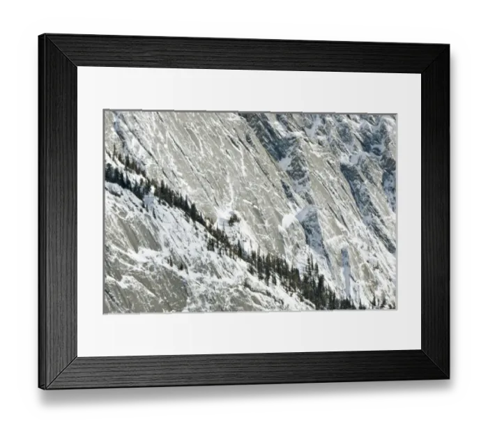 Framed Print : Mountainside forest on the Colin Mountain Range, Jasper National Park, Alberta, Canadian Framed Print : Mountainside forest on the Colin Mountain Range, Jasper National Park, Alberta, Canadian