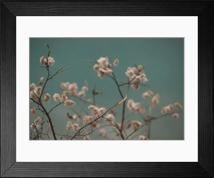 Framed Print : 02. Canada, Alberta, Banff National Park: Lake Louise