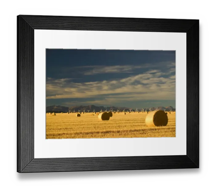 Framed Print : 02. Canada, Alberta, Crowsnest Pass Area: Cowley Ridge Wind Farm Landscape with Hayrolls Framed Print : 02. Canada, Alberta, Crowsnest Pass Area: Cowley Ridge Wind Farm Landscape with Hayrolls