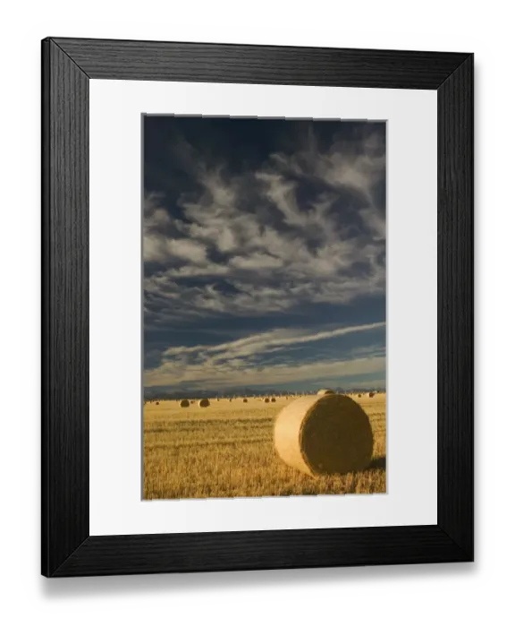 Framed Print : 02. Canada, Alberta, Crowsnest Pass Area: Cowley Ridge Wind Farm Landscape with Hayrolls Framed Print : 02. Canada, Alberta, Crowsnest Pass Area: Cowley Ridge Wind Farm Landscape with Hayrolls