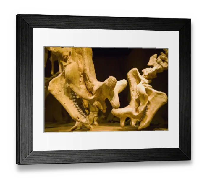 Framed Print : 02. Canada, Alberta, Drumheller: Royal Tyrrell Museum of Palaeontology Framed Print : 02. Canada, Alberta, Drumheller: Royal Tyrrell Museum of Palaeontology
