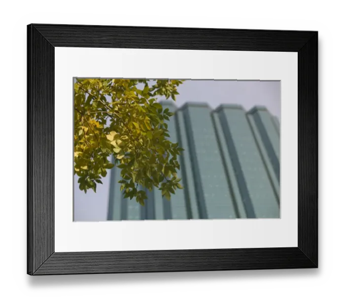 Framed Print : 02. Canada, Alberta, Edmonton: Manulife Place Building  /  Fall