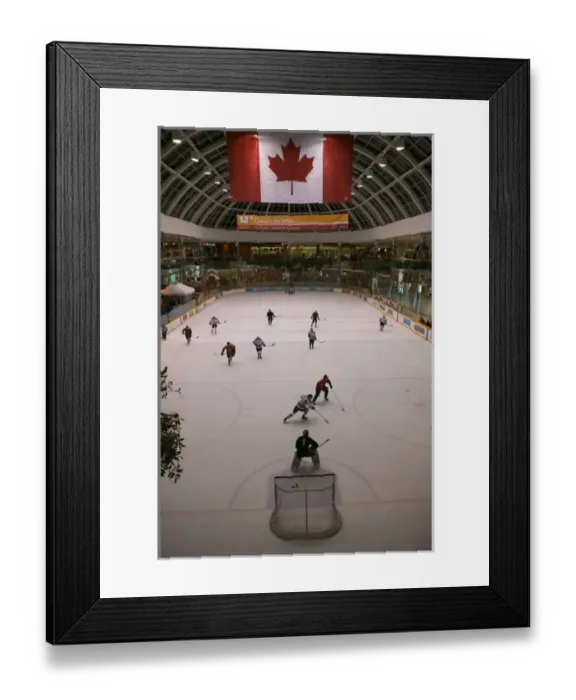 Framed Print : 02. Canada, Alberta, Edmonton: West Edmonton Mall Framed Print : 02. Canada, Alberta, Edmonton: West Edmonton Mall