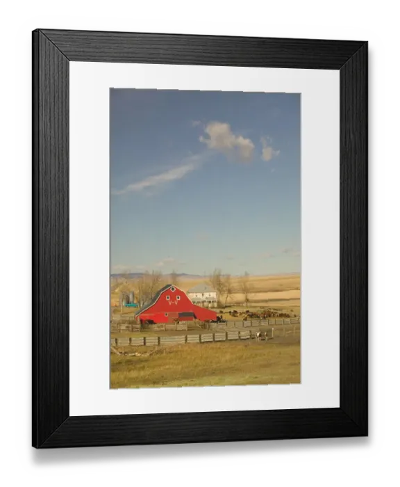 Framed Print : Canada, Alberta, Pincher Creek: Red Barn & Ranch