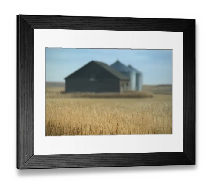 Framed Print : Canada-Alberta-Rosebud: Grain Barn  /  Wheat Farm  /  Autumn