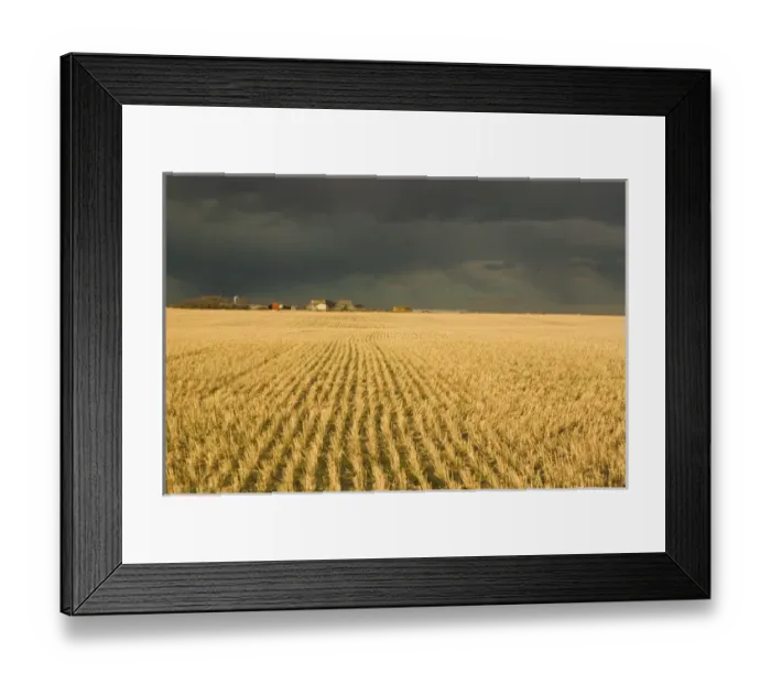 Framed Print : 02. Canada, Alberta, Stand Off: Landscape with Dramatic Sky