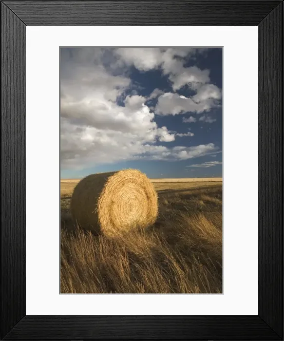 Framed Print : 02. Canada, Alberta, Stand Off: Landscape with Dramatic Sky and Hay Roll Framed Print : 02. Canada, Alberta, Stand Off: Landscape with Dramatic Sky and Hay Roll