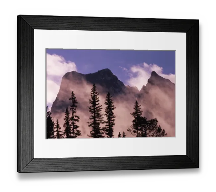 Framed Print : Trees silhouetted against mist and mountains at sunrise, Yoho National Park, British Columbia Framed Print : Trees silhouetted against mist and mountains at sunrise, Yoho National Park, British Columbia