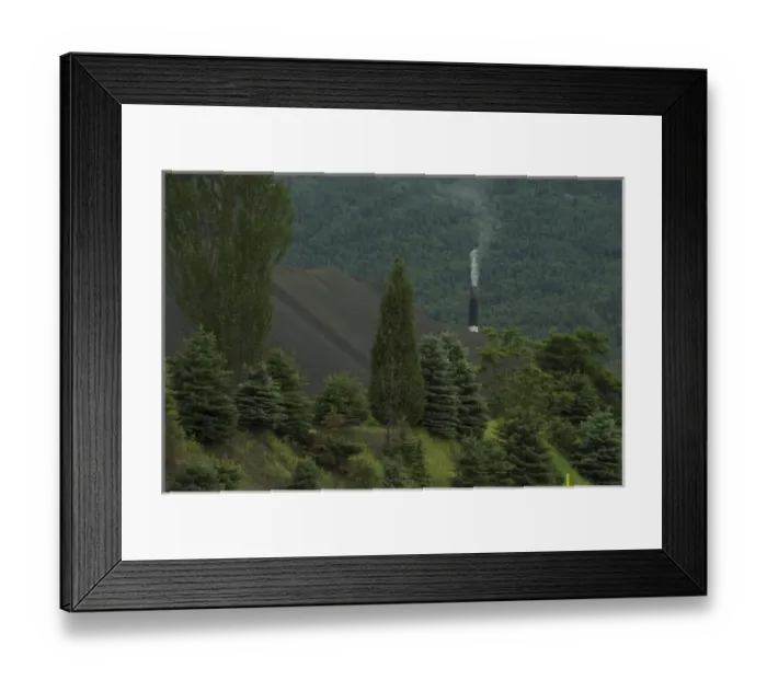 Framed Print : Canada: British Columbia, Columbia River Basin, Trail, trees replanted in front Framed Print : Canada: British Columbia, Columbia River Basin, Trail, trees replanted in front