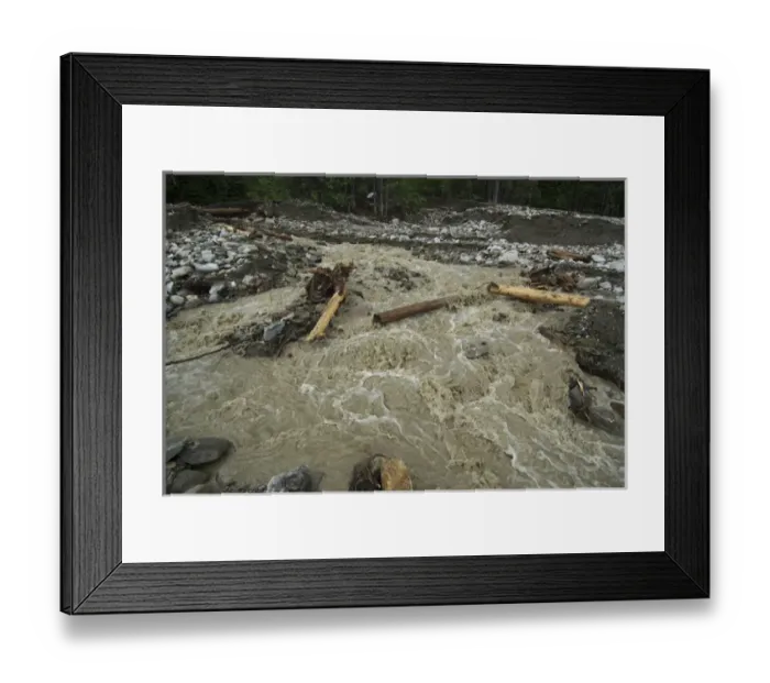 Framed Print : Canada: British Columbia, Kinbasket Lake Resort, west shore of lake, debris Framed Print : Canada: British Columbia, Kinbasket Lake Resort, west shore of lake, debris