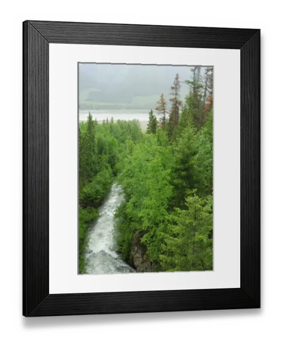 Framed Print : Canada: British Columbia, Valemount, Kinbasket Lake Reservoir, Cache Creek, trees Framed Print : Canada: British Columbia, Valemount, Kinbasket Lake Reservoir, Cache Creek, trees