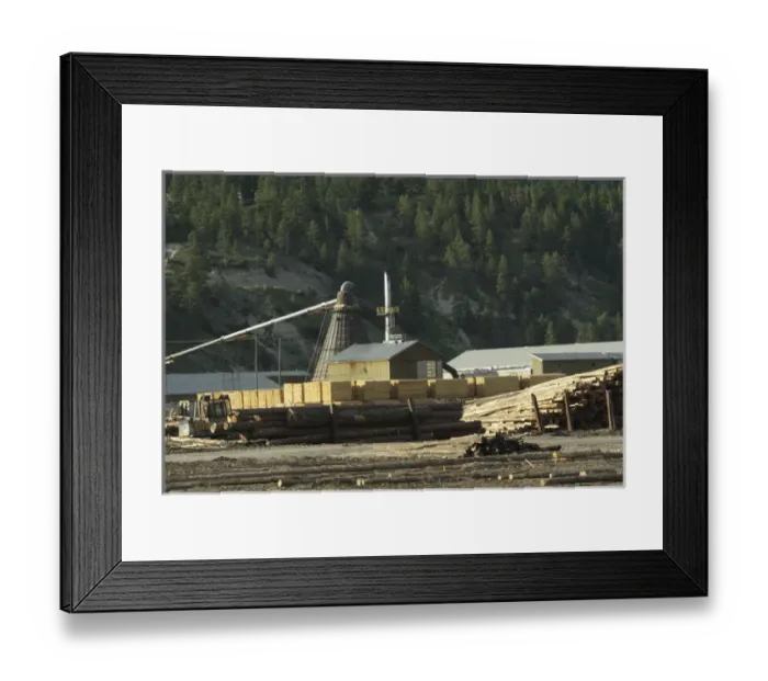 Framed Print : Canada: British Columbia, Columbia River Basin, Columbia Wetlands, Canal Flats, Tembec Framed Print : Canada: British Columbia, Columbia River Basin, Columbia Wetlands, Canal Flats, Tembec