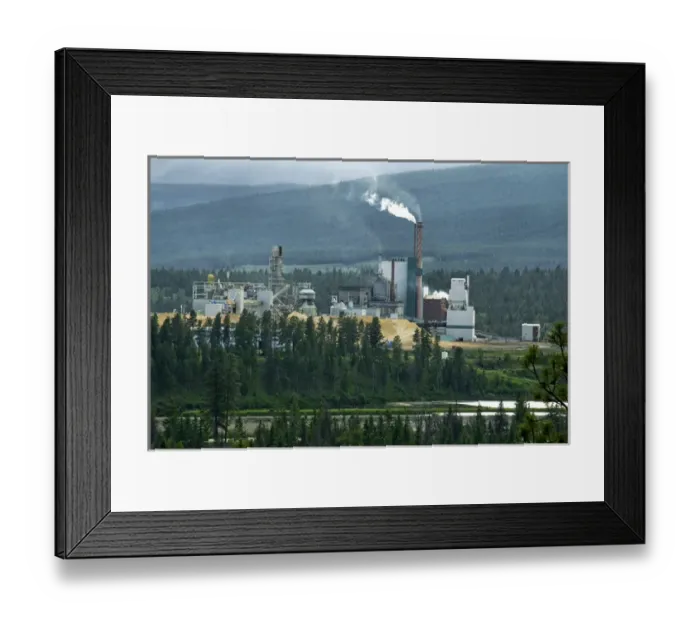 Framed Print : Canada: British Columbia, Columbia River Basin, Columbia Wetlands, Canal Flats, Tembec Framed Print : Canada: British Columbia, Columbia River Basin, Columbia Wetlands, Canal Flats, Tembec