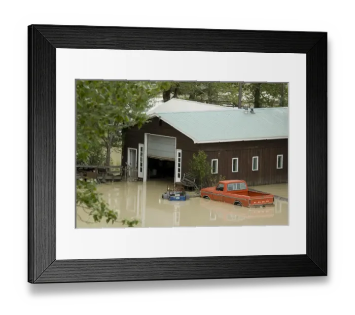 Framed Print : Canada: British Columbia, west of Golden, Columbia River flooding from melting snow pack Framed Print : Canada: British Columbia, west of Golden, Columbia River flooding from melting snow pack